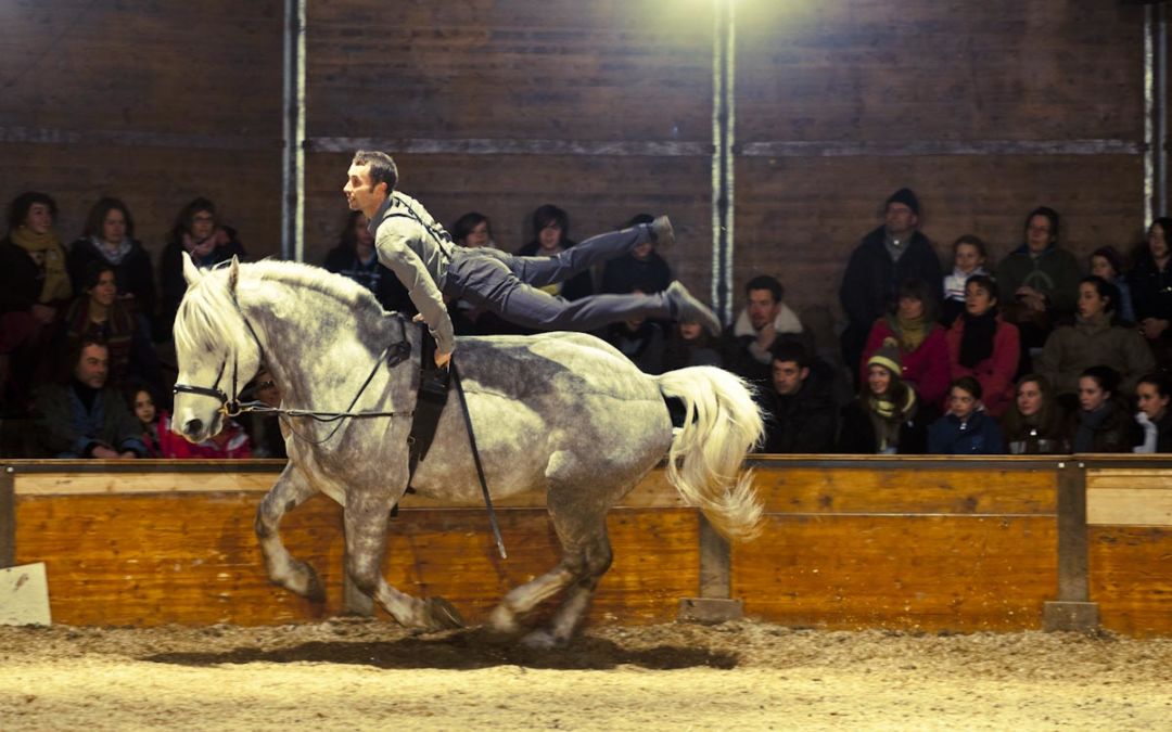 Perspectives Cavalières