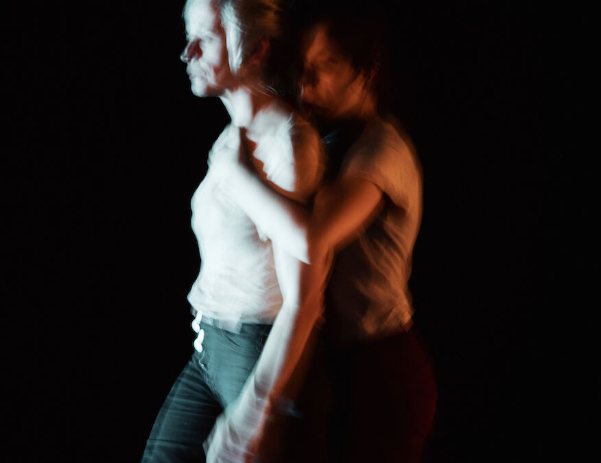 Hors les murs à Vicq-sur-Breuilh – Musée et Jardins Cécile Sabourdy