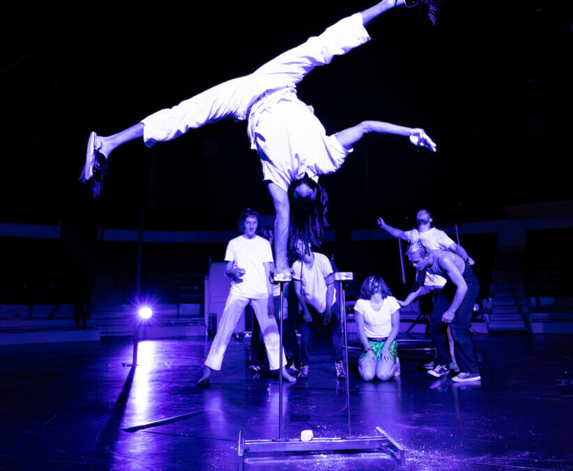 Écritures croisées Cirque & musique électronique
